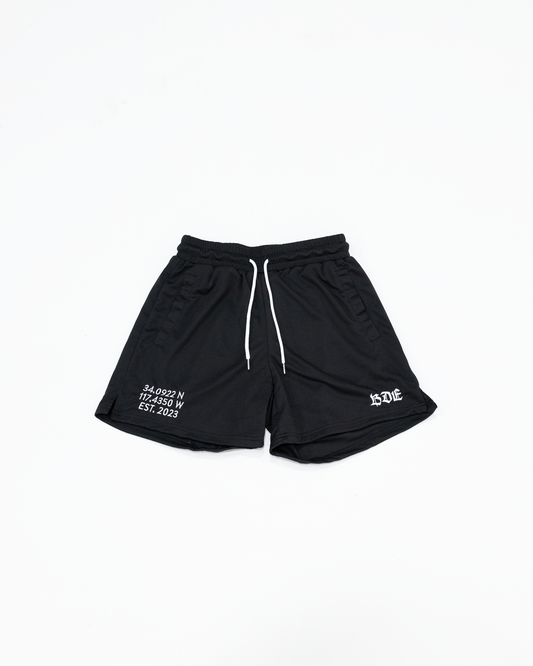 Coordinate Mesh Shorts