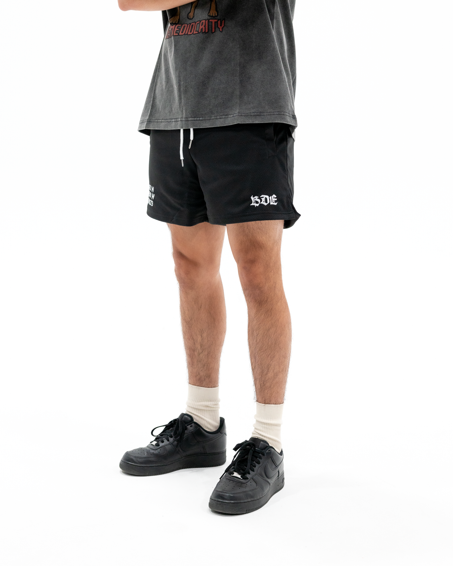 Coordinate Mesh Shorts